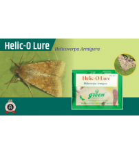 Helic - o - Lure / Helicoverpa Armigera Pheromone Lure